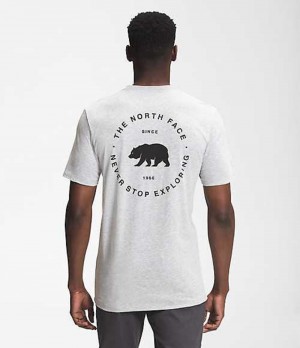 Camiseta The North Face Bear NSE Hombre Gris Claro | 1038752-TU