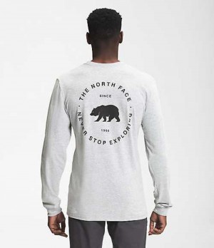 Camiseta The North Face Bear NSE Hombre Gris Claro | 1673920-CZ