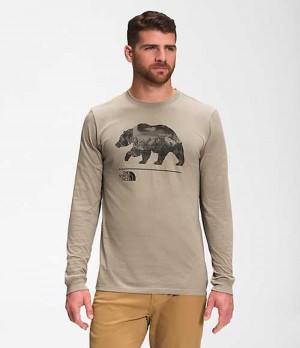 Camiseta The North Face Bearscape Hombre Gris | 4102596-ML