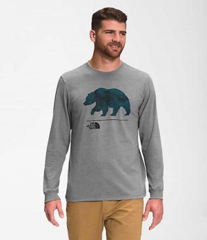 Camiseta The North Face Bearscape Hombre Gris Multicolor | 0647231-FE