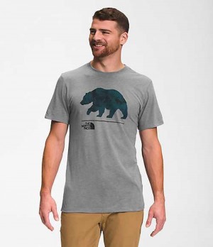 Camiseta The North Face Bearscape Hombre Gris Multicolor | 1452637-AZ