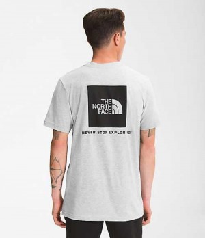 Camiseta The North Face Box NSE Hombre Gris Claro | 7435296-VN