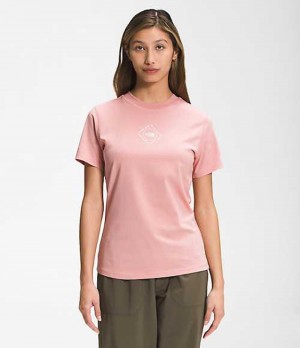 Camiseta The North Face Himalayan Mujer Rosas Marrones | 9320567-RD