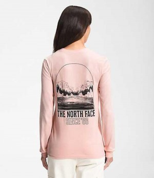 Camiseta The North Face Mountain Mujer Marrones Rosas | 2468905-FQ