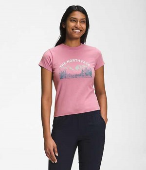 Camiseta The North Face Outdoors Mujer Lavanda | 8740359-TP