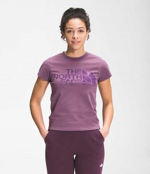 Camiseta The North Face Recycled Expedition Graphic Mujer Moradas | 6320945-ZX