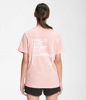 Camiseta The North Face Walls Mujer Marrones Rosas | 6059478-GY