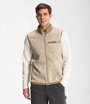 Chaleco The North Face Gordon Lyons Hombre Marrones Marrones | 7309425-NH