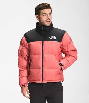 Chaqueta Plumas The North Face 1996 Retro Nuptse Hombre Rosas | 3796401-LP