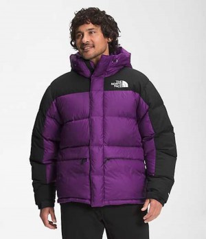 Chaqueta Plumas The North Face HMLYN Hombre Moradas | 7256941-CU