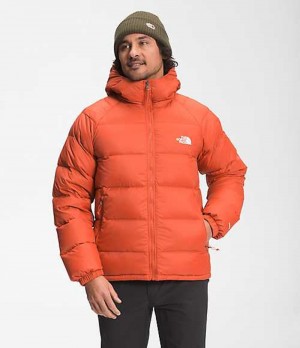 Chaqueta Plumas The North Face Hydrenalite Hombre Rojas | 9047628-OA