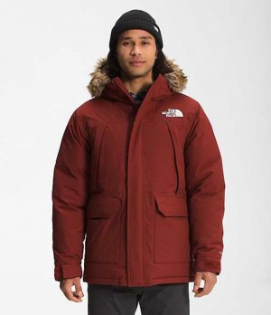 Chaqueta Plumas The North Face McMurdo Hombre Rojas | 4197865-BK