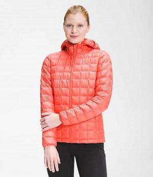 Chaqueta Plumas The North Face ThermoBall™ Eco Mujer Naranjas | 4691503-ST