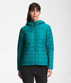 Chaqueta Plumas The North Face ThermoBall™ Eco Mujer Turquesa | 1560973-DY