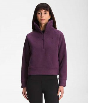 Fleece Jackets The North Face City Standard Mujer Burdeos | 3950417-TU