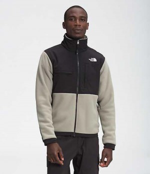 Fleece Jackets The North Face Denali 2 Hombre Gris | 9620753-JY