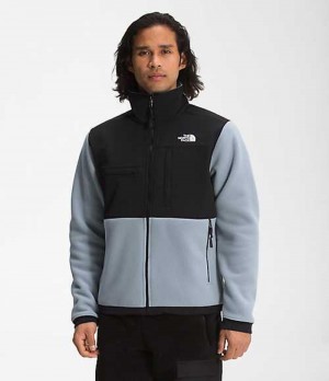 Fleece Jackets The North Face Denali 2 Hombre Gris | 5369708-QH