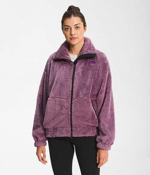 Fleece Jackets The North Face Osito Mujer Moradas | 3548729-PO