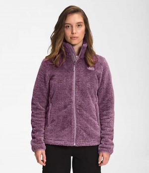 Fleece Jackets The North Face Osito Mujer Gris Moradas | 8469215-WJ