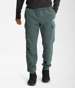 Pantalon The North Face Coordinates Hombre Verde | 2014598-IN