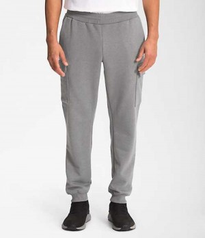 Pantalon The North Face Coordinates Hombre Gris | 7459380-WK