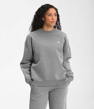 Sudadera The North Face City Standard Mujer Gris | 1425607-YU