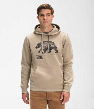 Sudadera con Capucha The North Face Bearscape Hombre Gris | 8692573-MF