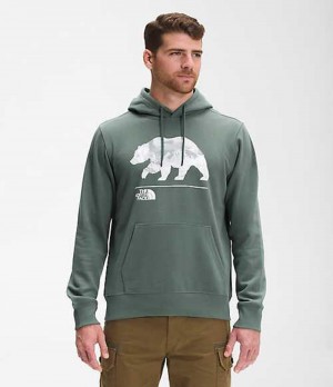 Sudadera con Capucha The North Face Bearscape Hombre Verde | 4587031-YG