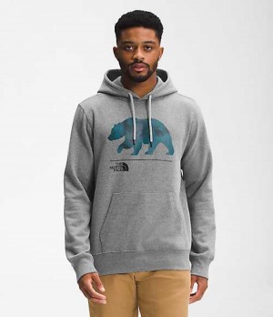 Sudadera con Capucha The North Face Bearscape Hombre Gris Multicolor | 7642805-YA