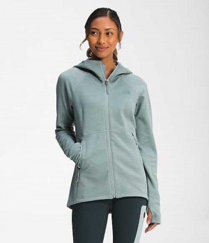 Sudadera con Capucha The North Face Canyonlands Mujer Plateadas Azules | 7351926-FN