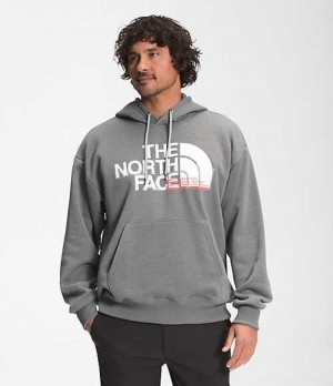 Sudadera con Capucha The North Face Coordinates Hombre Gris | 0942631-CZ