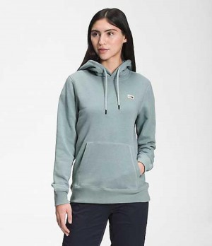 Sudadera con Capucha The North Face Heritage Mujer Plateadas Azules | 9208361-FR