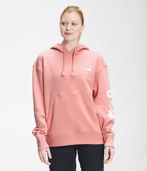 Sudadera con Capucha The North Face Himalayan Mujer Rosas Marrones | 2965173-TM