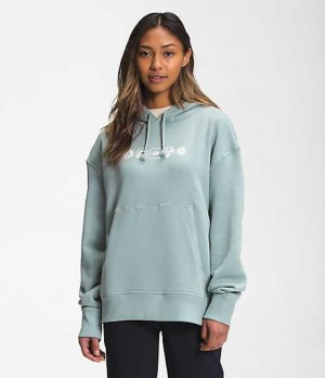 Sudadera con Capucha The North Face Himalayan Mujer Plateadas Azules | 6478130-BX