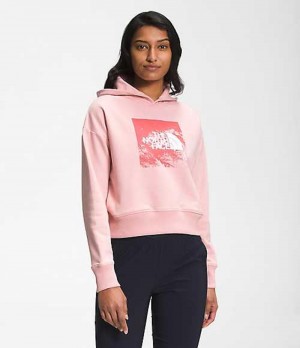 Sudadera con Capucha The North Face Logo Play Mujer Rosas Marrones | 9348672-BZ