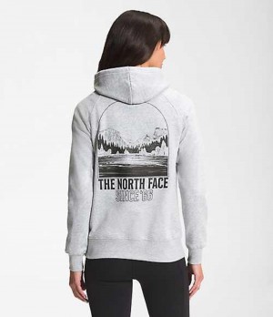 Sudadera con Capucha The North Face Mountain Mujer Gris Claro | 6012857-MX