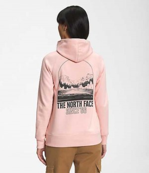 Sudadera con Capucha The North Face Mountain Mujer Marrones Rosas | 5271983-IU