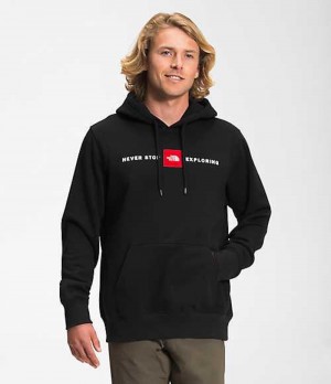 Sudadera con Capucha The North Face Red's Pullover Hombre Negras | 8604319-CW