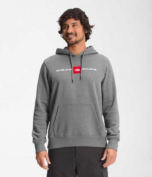 Sudadera con Capucha The North Face Red's Pullover Hombre Gris | 2148503-DH