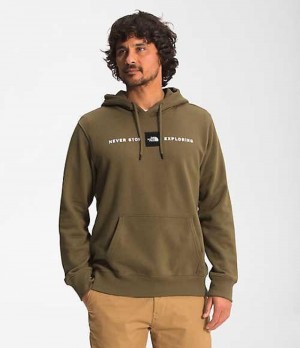 Sudadera con Capucha The North Face Red's Pullover Hombre Verde Oliva | 9453602-WE