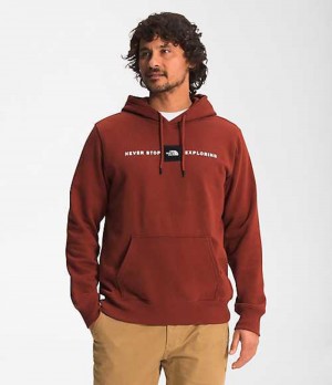 Sudadera con Capucha The North Face Red's Pullover Hombre Rojas | 3971840-YP