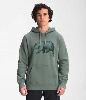 Sudadera con Capucha The North Face TNF™ Bear Hombre Verde | 3079621-FR