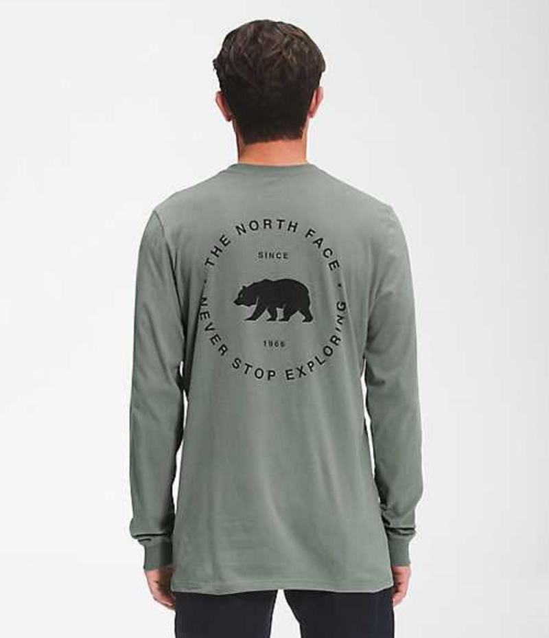 Camiseta The North Face Bear NSE Hombre Verde | 2537904-VI