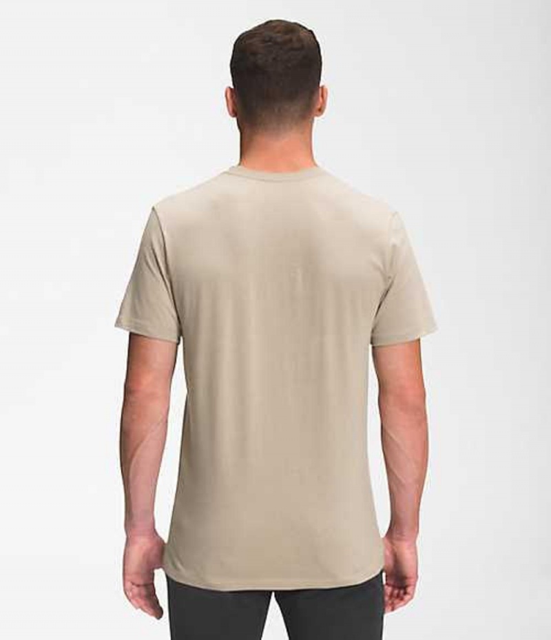 Camiseta The North Face Bearscape Hombre Gris | 0721835-NE