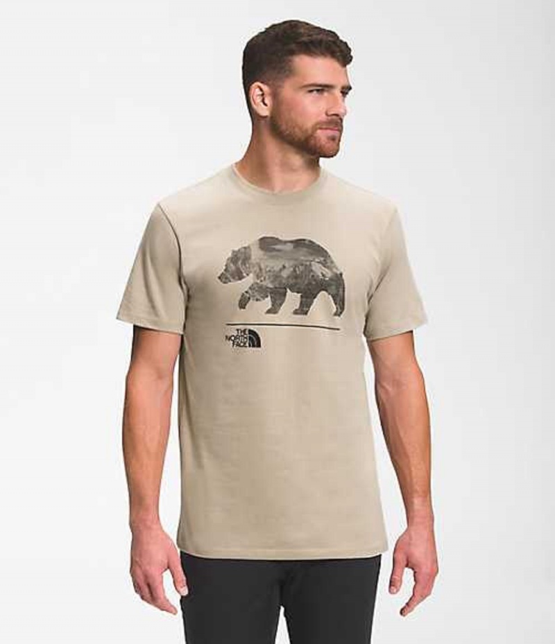 Camiseta The North Face Bearscape Hombre Gris | 0721835-NE