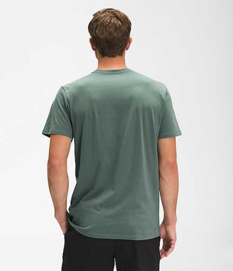 Camiseta The North Face Bearscape Hombre Verde | 8350261-SG