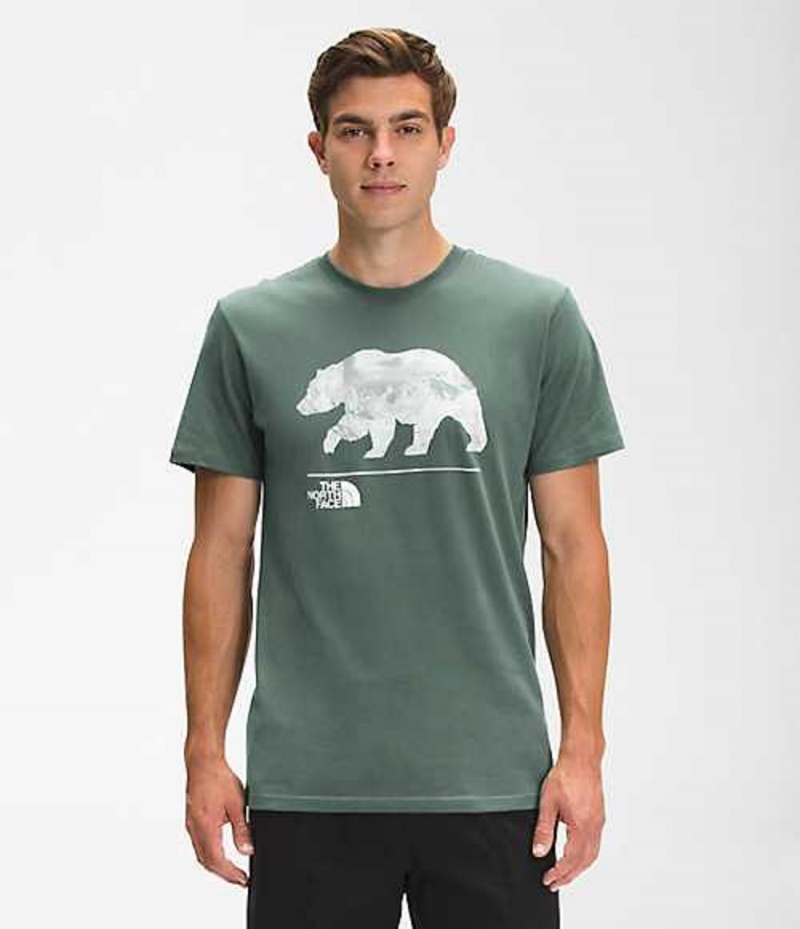 Camiseta The North Face Bearscape Hombre Verde | 8350261-SG