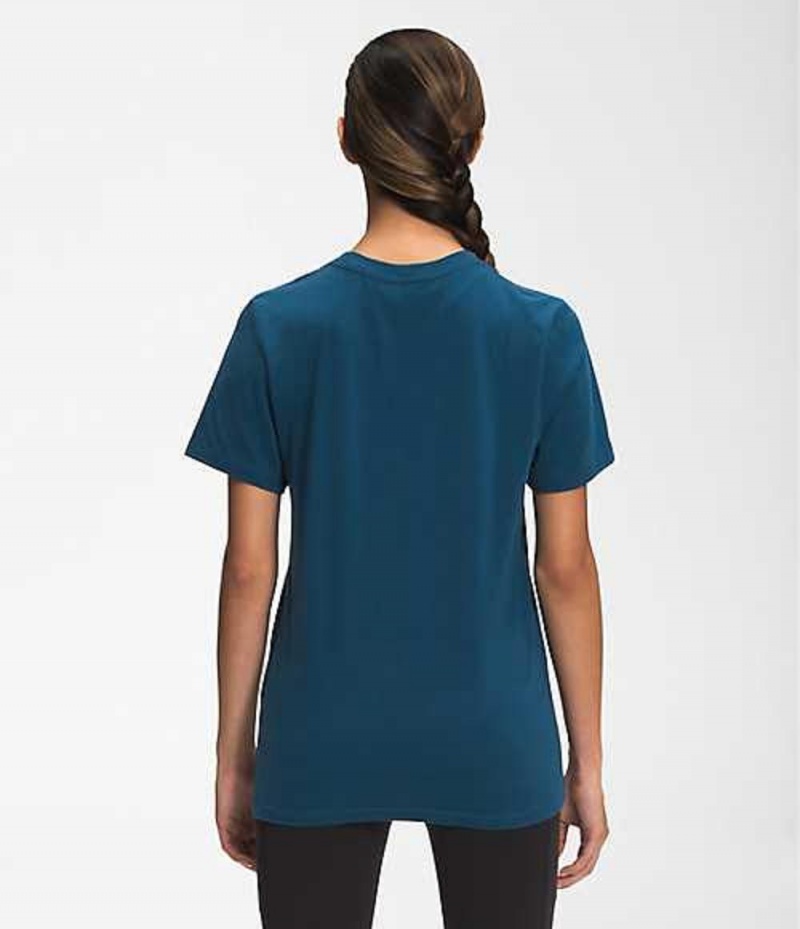 Camiseta The North Face Half Dome Mujer Azules | 6384952-XH