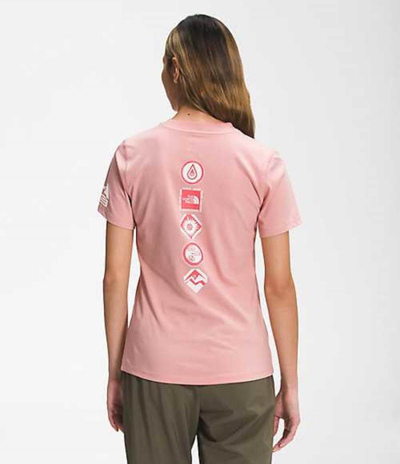 Camiseta The North Face Himalayan Mujer Rosas Marrones | 9320567-RD