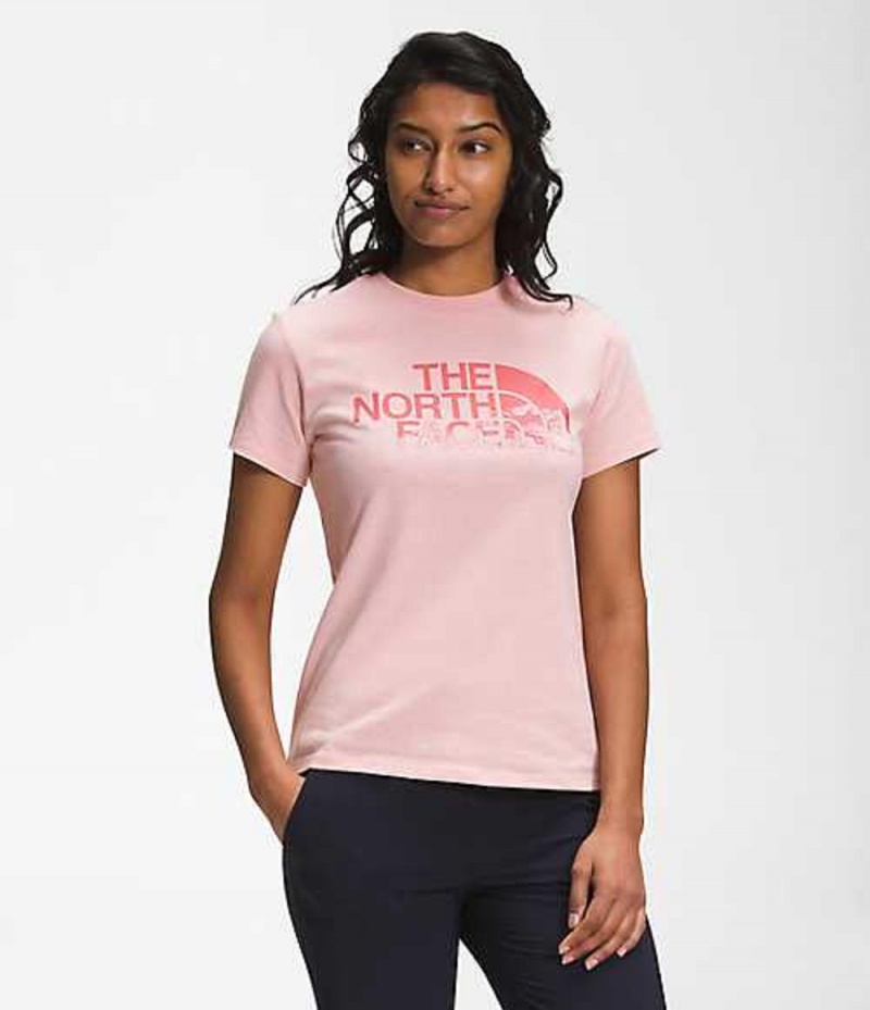 Camiseta The North Face Logo Play Mujer Rosas Marrones | 8153429-KD